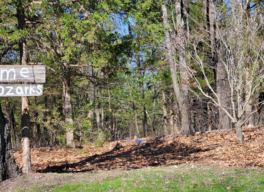 Branson — photo 1
