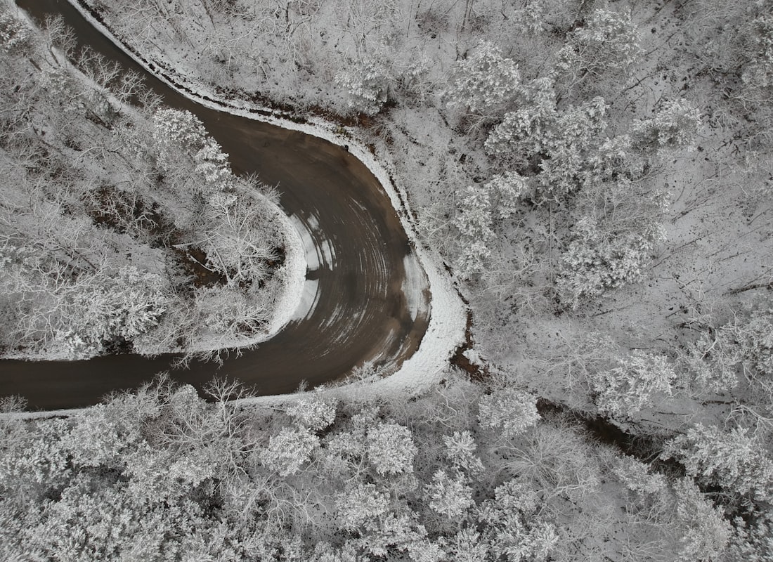 Branson — photo 3