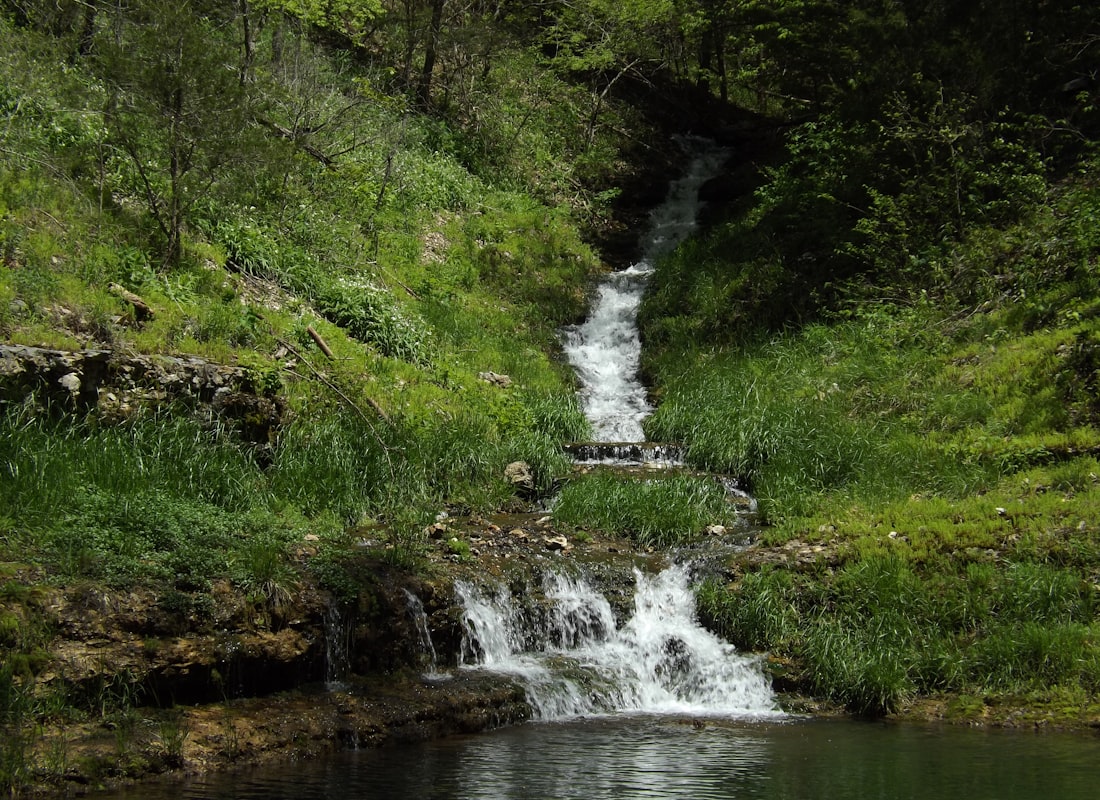 Branson — photo 4
