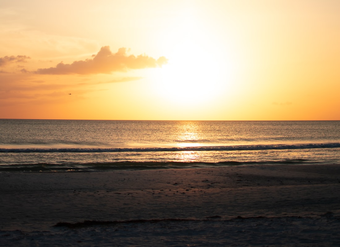 Clearwater — photo 3